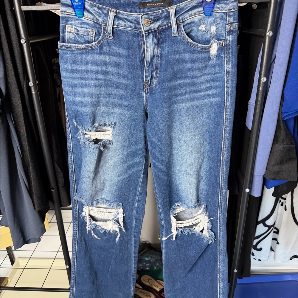 Flying Monkey - image 1